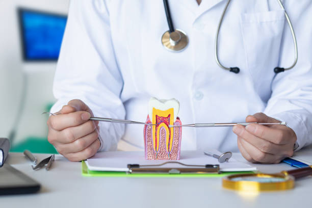 Best Tooth Infection Emergency Dentist  in Wildwood Lake, TN